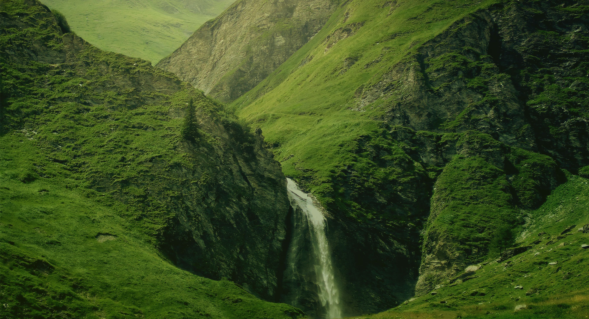 One Company Many Specialists